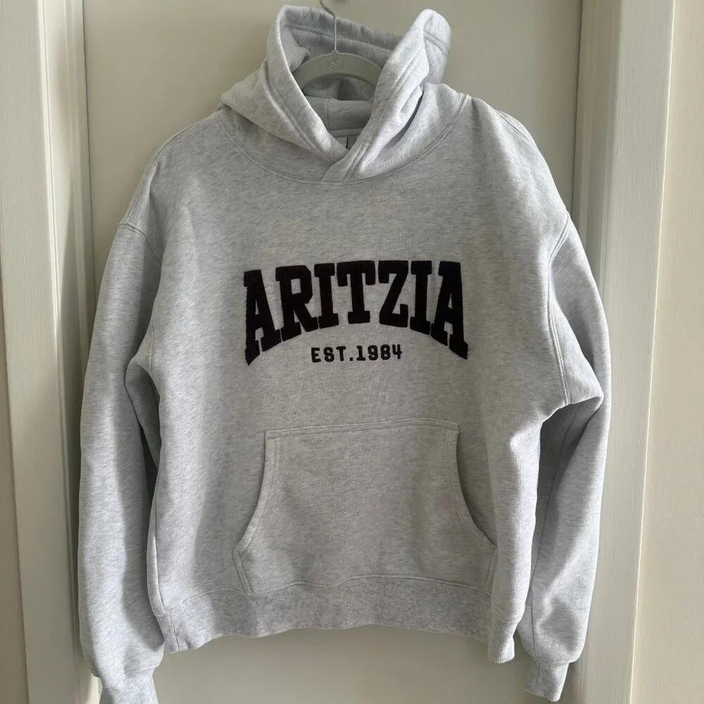 Aritzia Cozy Sweatfleece Perfect Hoodie - Picture 4 of 7